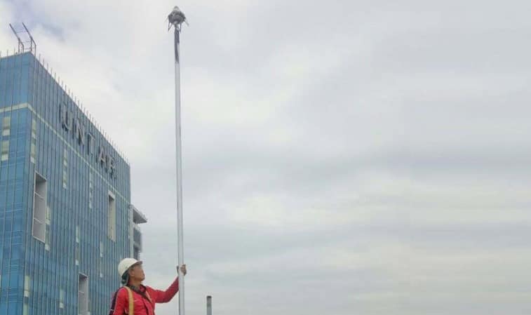 Jasa Pasang Penangkal Petir dan Pasang Grounding di Banyuwangi